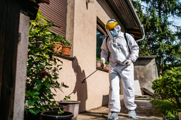 Best Local Pest Control Services  in Lindstrom, MN