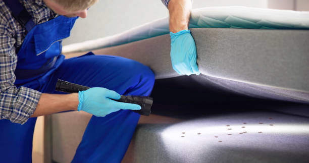 Best Cockroach Control Services  in Lindstrom, MN