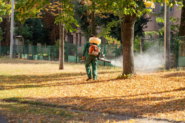 Pest Control Cost in Lindstrom, MN