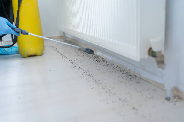 Best Pest Prevention Services  in Lindstrom, MN